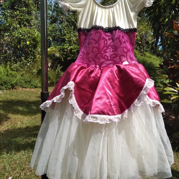 Renaissance Costume Pink Maroon Cream Dress Tulle Ruffle - Picture 10 of 11
